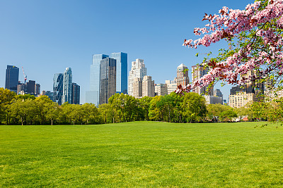 springtime