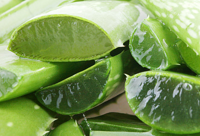 aloe