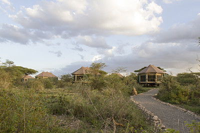 serengeti