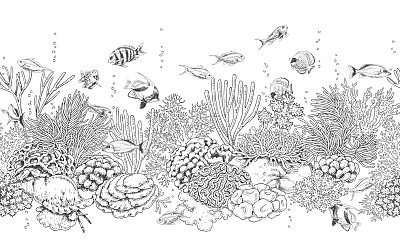 corals