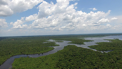 amazon