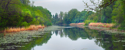 湿地公园湖景