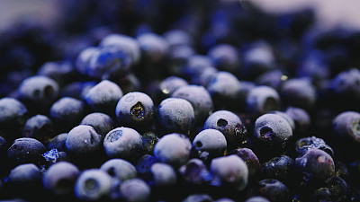 农家蓝莓