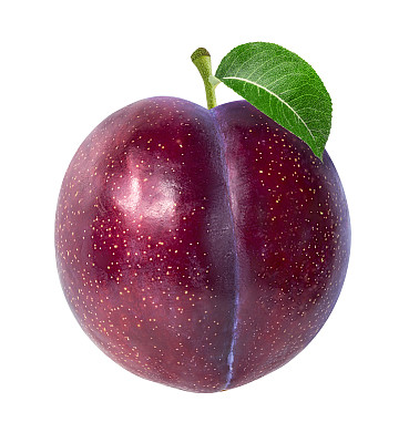 plum