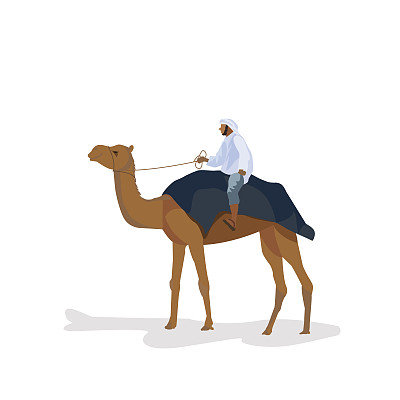 骑骆驼驼