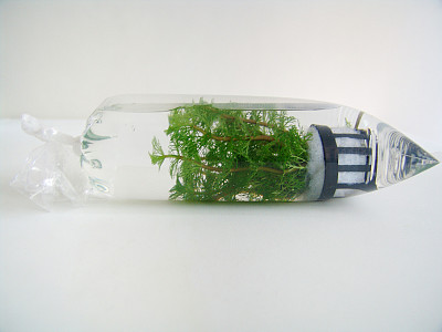 塑料水草