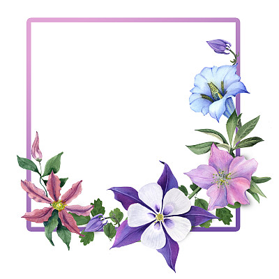 gentian