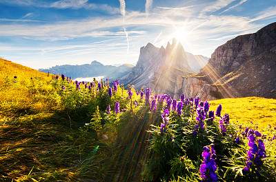 springtime
