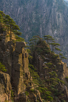 大雾黄山