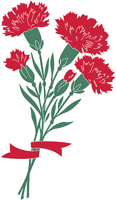 dianthus