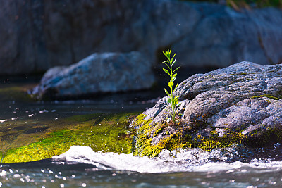 stream