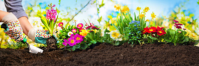 horticulture