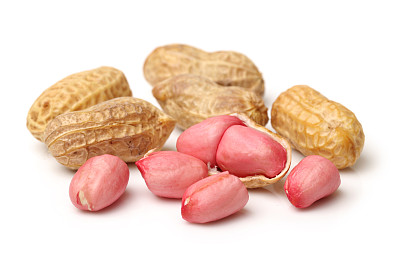 earthnut