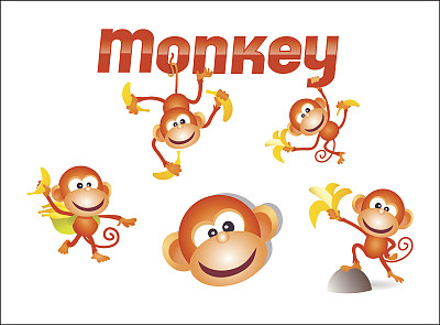 monkey