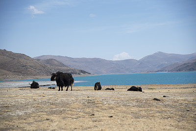 西藏的湖