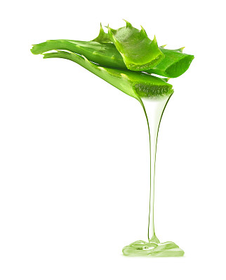 aloe