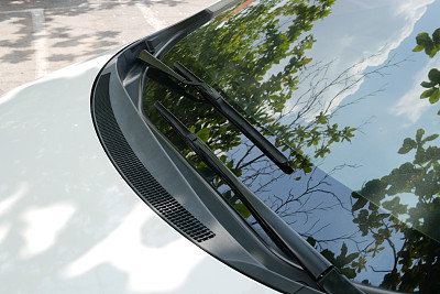 windshield