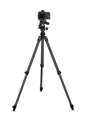 5d3