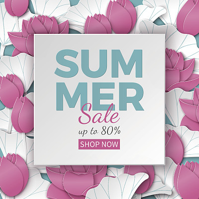 荷叶荷叶背景荷叶广告