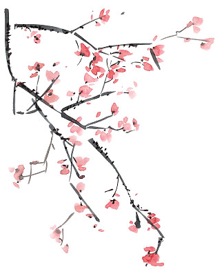 樱花插图