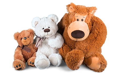 teddy