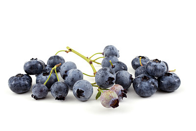 蓝莓,浆果,熟的