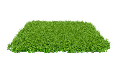 grass
