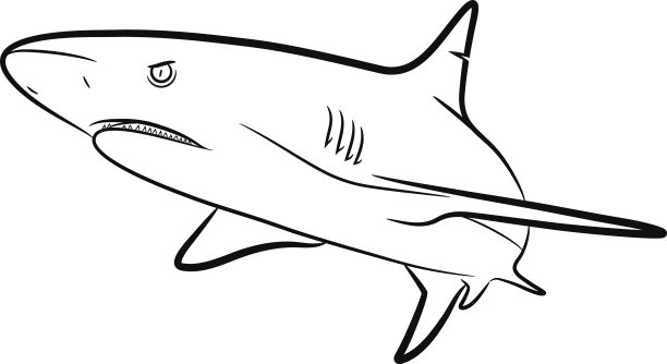 shark