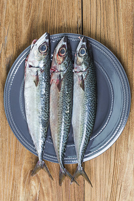 salmo
