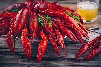 crawdad