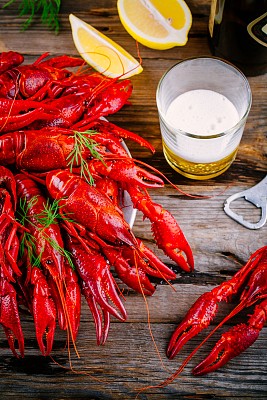 mudbugs