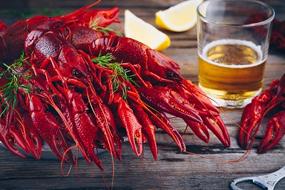 mudbugs
