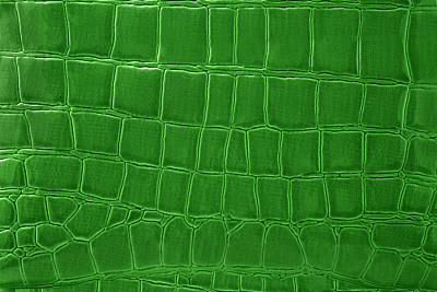 鳄鱼皮纹