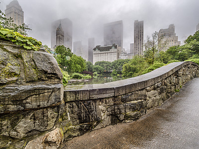 雨后的中央公园