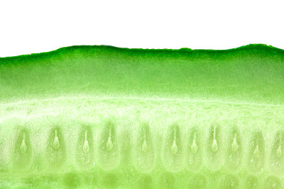 cucumber