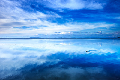 calming