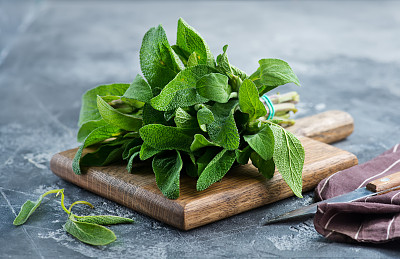 salvia