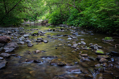 stream