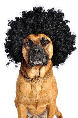 afro