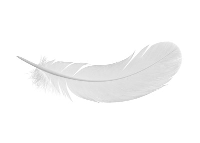 feather