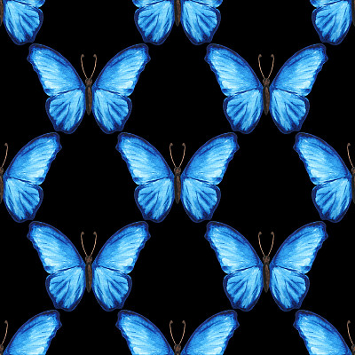 黑蓝色蝴蝶翅膀背景画