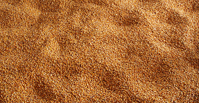 甜玉米,水磨,黄色