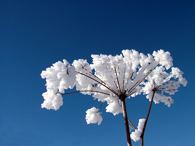 雪停了