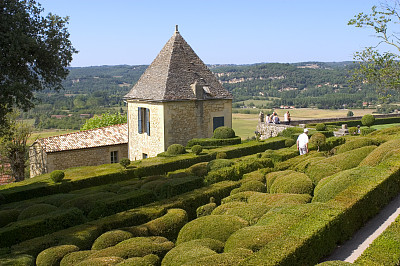 公园,庭院,植物墙,景色