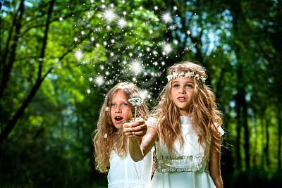 fairy