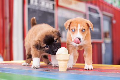 冰淇淋,吃,褐色