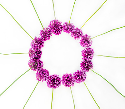 精美紫色绿色圆形花纹图案