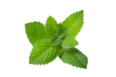 peppermint