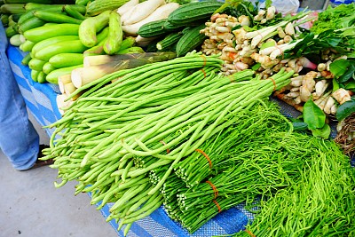 香菜葱花香料