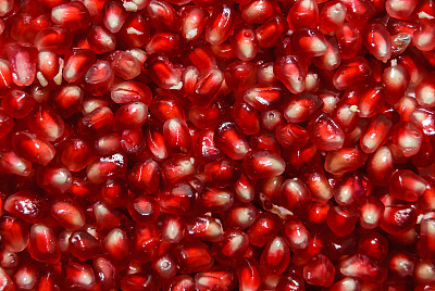 punica